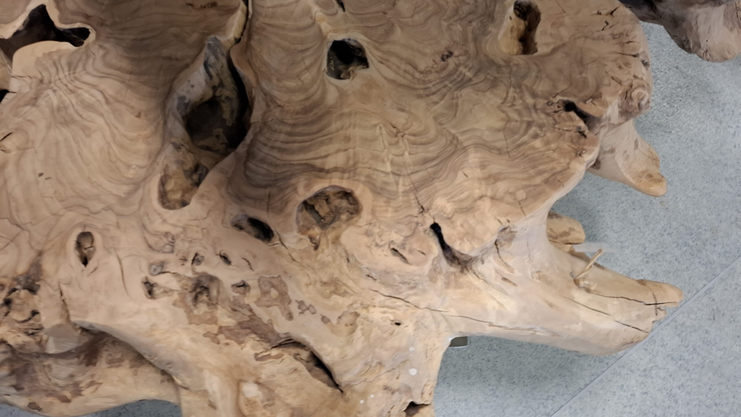 Table basse bord naturel en bois d'olivier sur roulettes