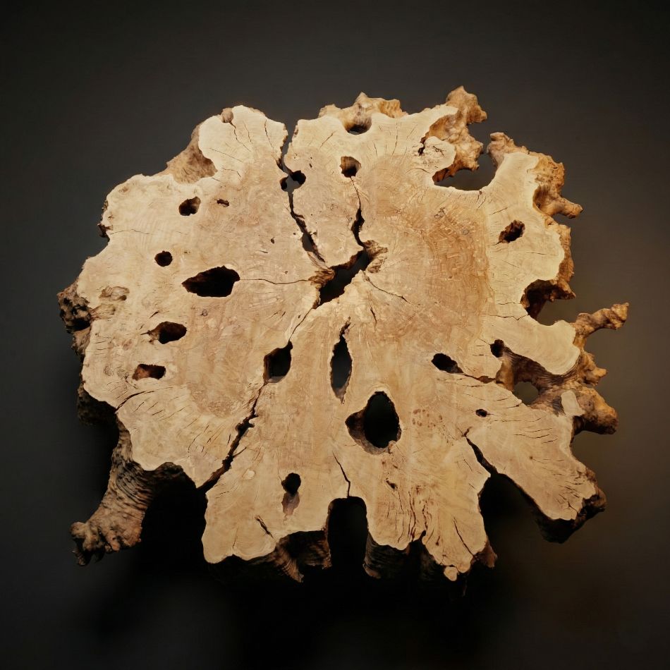Table basse bord naturel en bois d'olivier – Racine massive ronde en bois massif